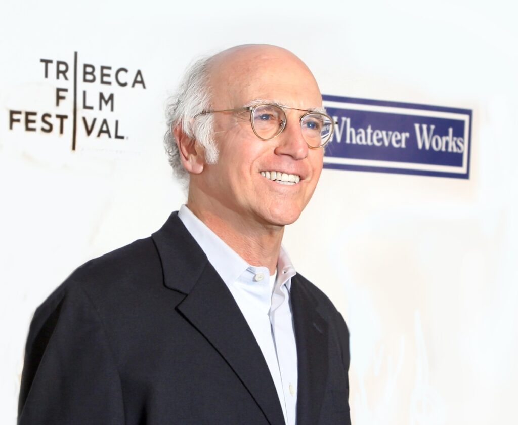 Larry David has stage 7 male pattern baldness